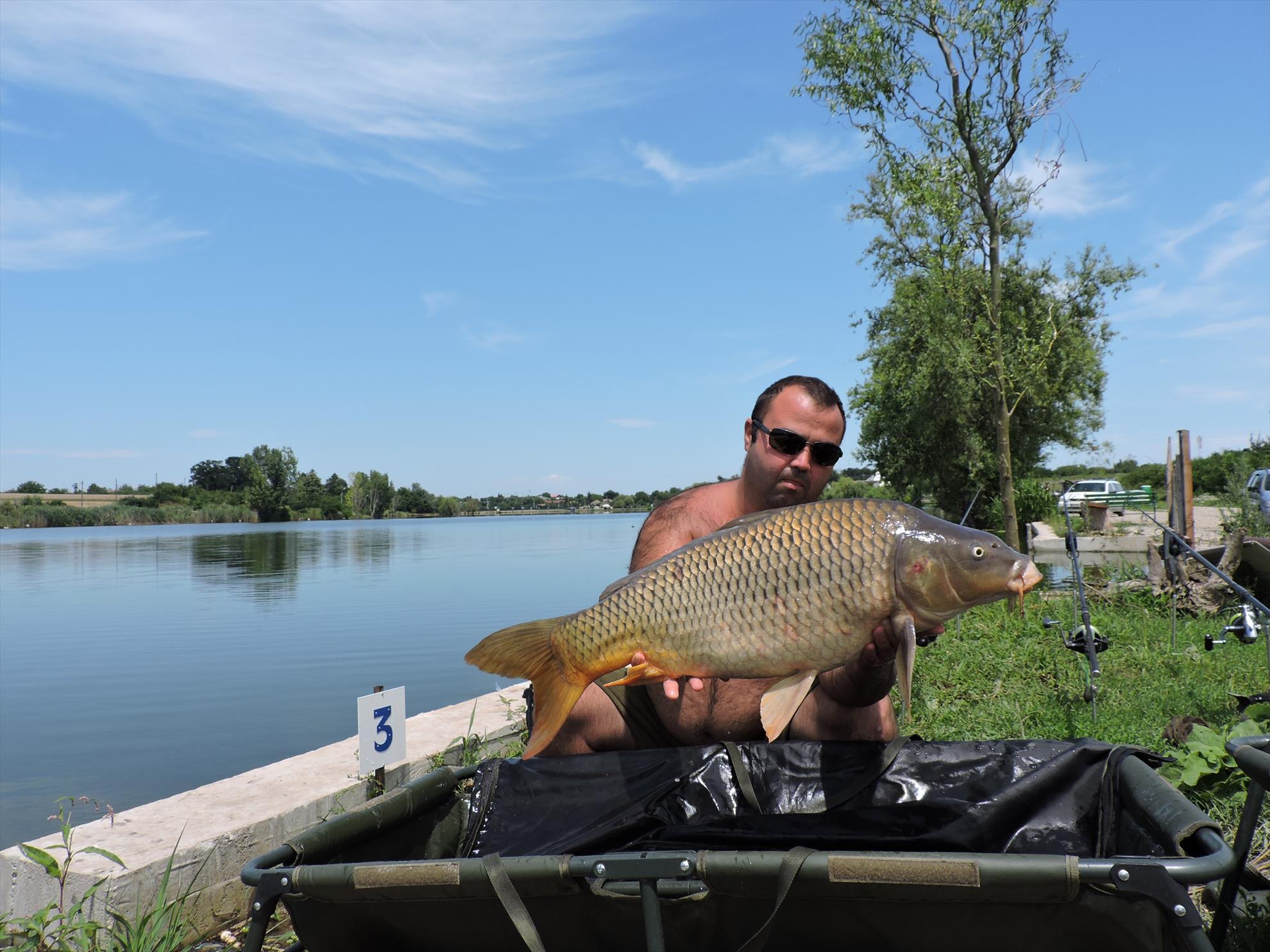 My Passion - dscn2709.JPG